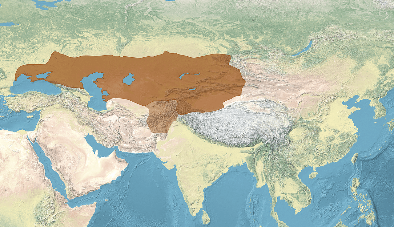 Greatest extent of the Western Turkic Khaganate c. 625