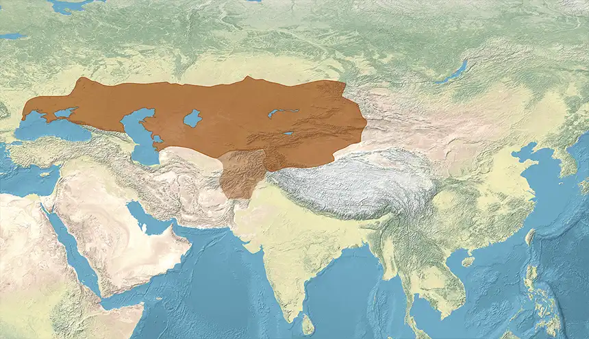 Greatest extent of the Western Turkic Khaganate c. 625